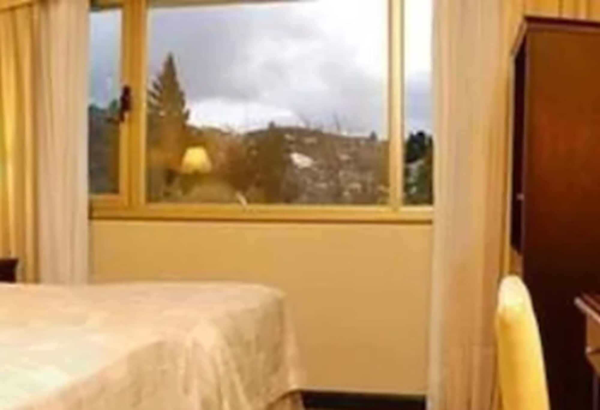 Kenton Palace Bariloche מראה חיצוני תמונה